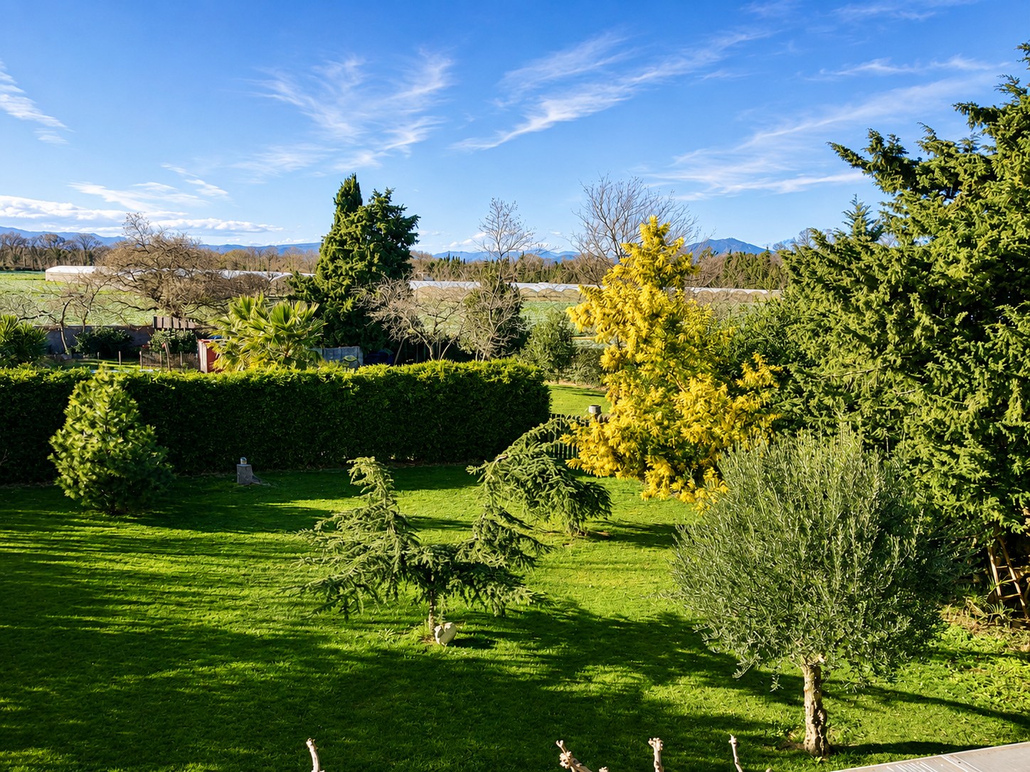 Vue sur le jardin du Mas du Domaine de Montcalm depuis la chambre d’hôtes Orientale