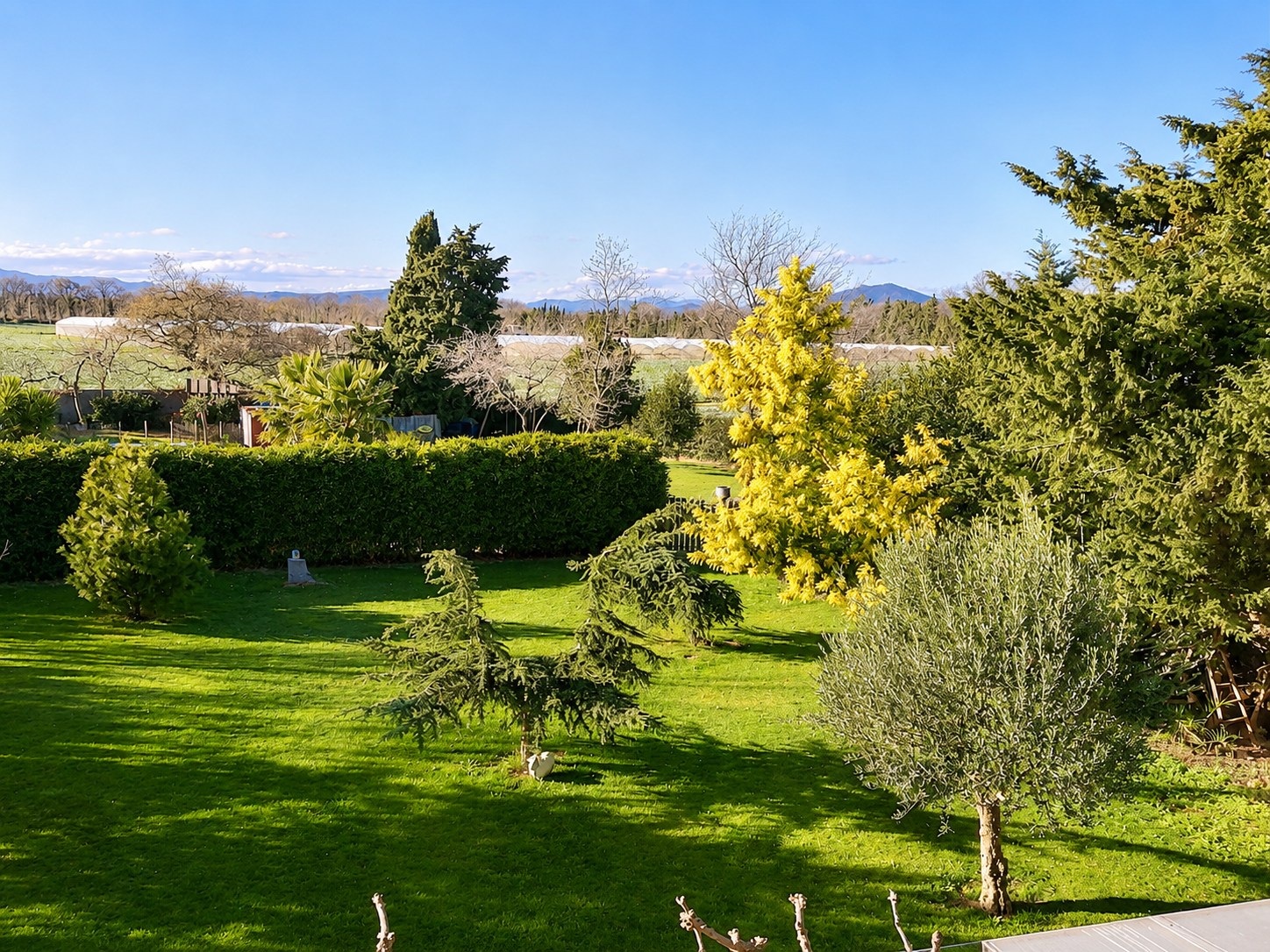 Vue sur le jardin du Mas du Domaine de Montcalm depuis la Suite Romantique