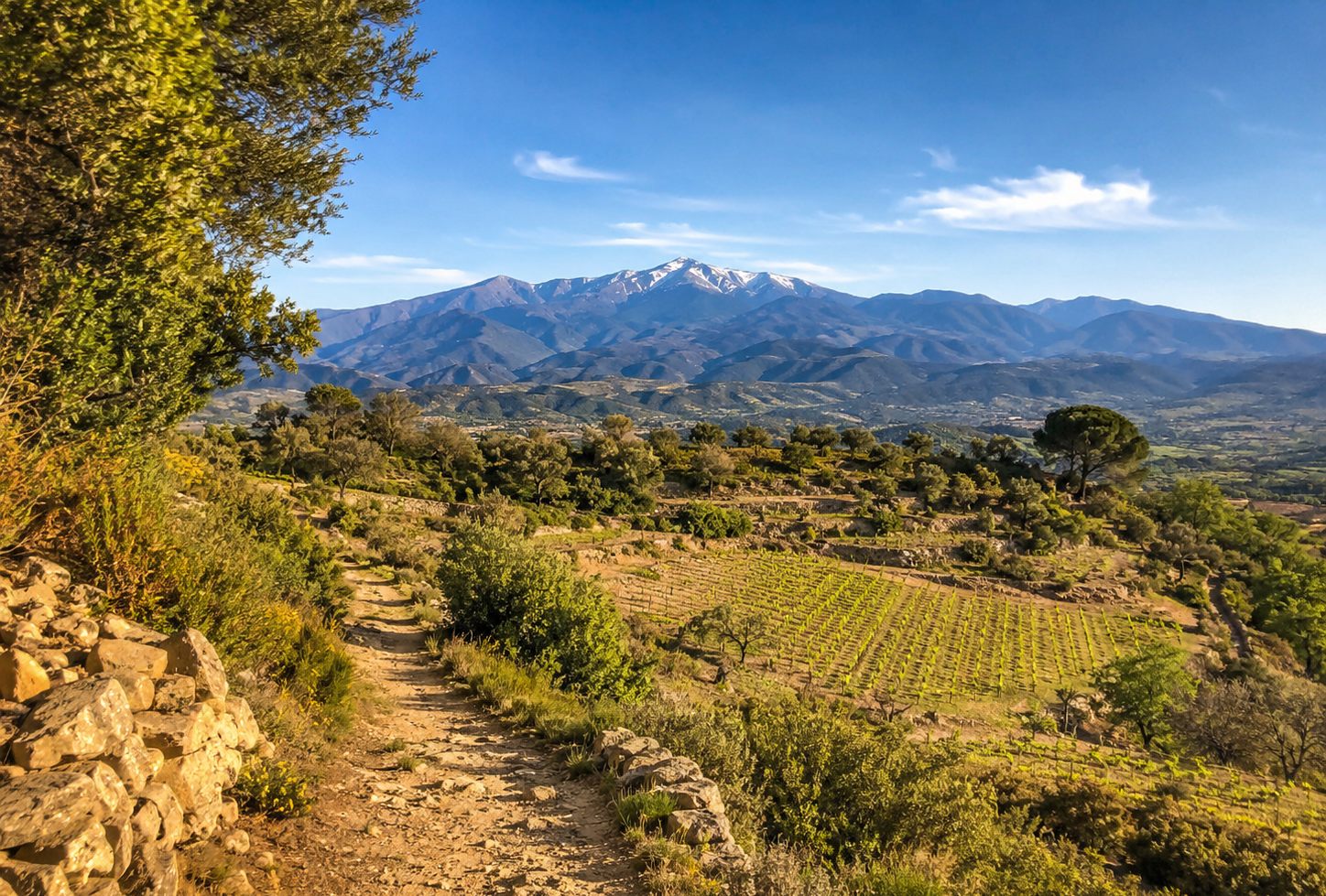 Randonnée dans les Pyrénées-Orientales autour de Thuir