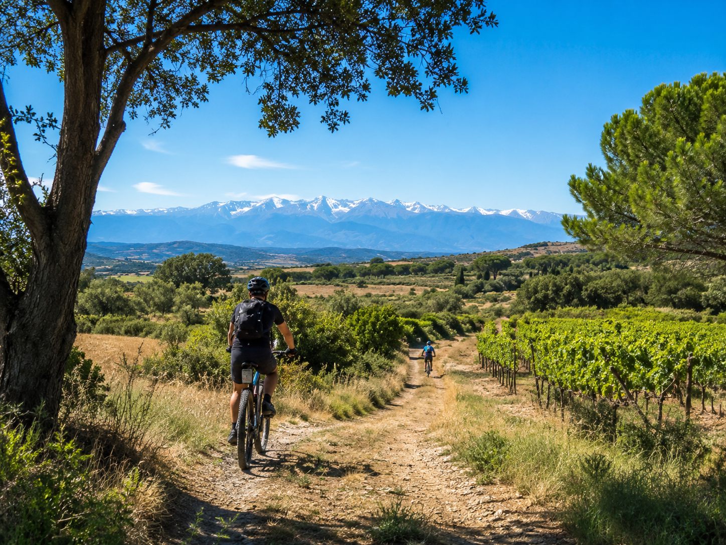 Balade à vélo et VTT dans les Pyrénées-Orientales