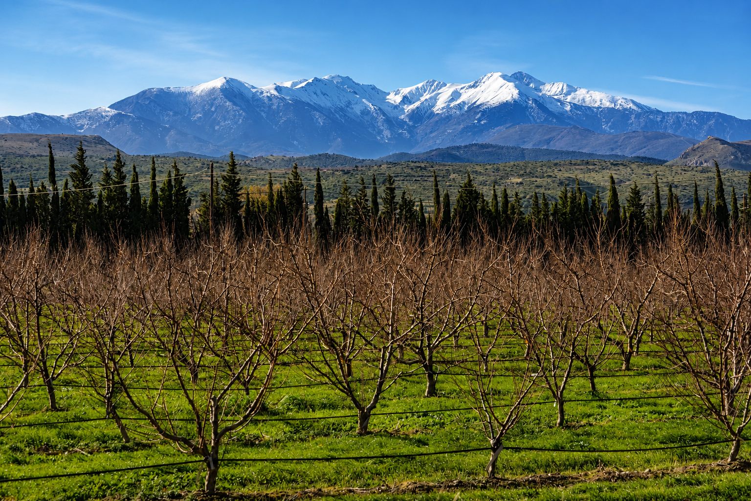 Le Canigou et les montagnes des Pyrénées-Orientales
